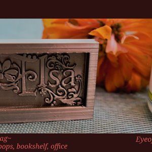 Elsa (Frozen) inspired display for funko pop